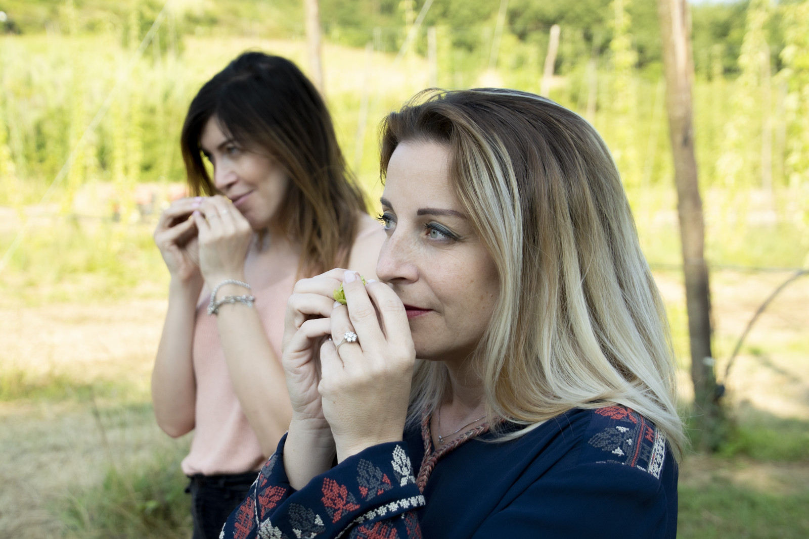 Birra, Galletti (M5S): “Contributi agli agricoltori per creare una filiera 100% Toscana”