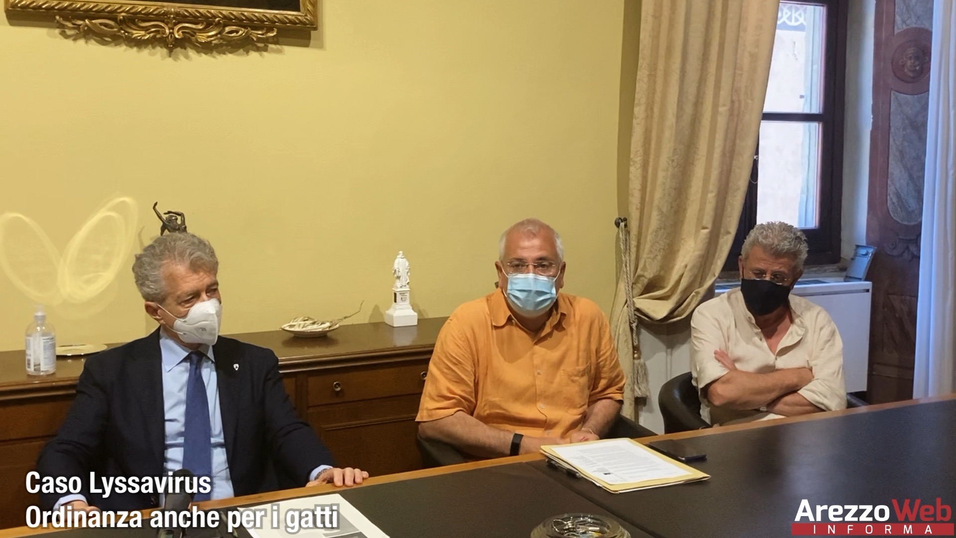 Caso Lyssavirus, ordinanza anche per i gatti