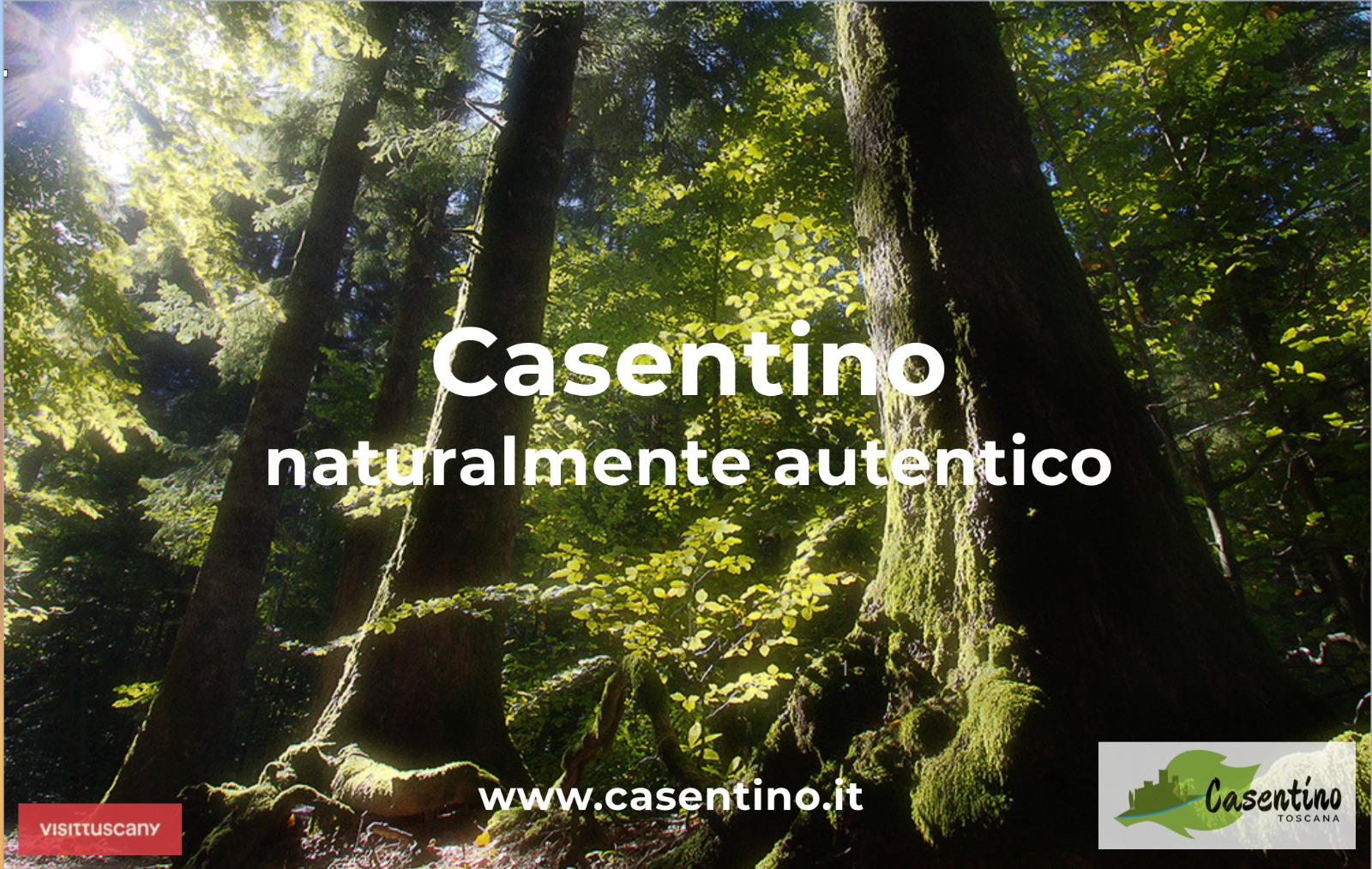 Vola l’Ambito Turistico Casentino: boom di presenze, servizi efficienti e prospettive future. Altri 100 mila euro pronti per essere investiti