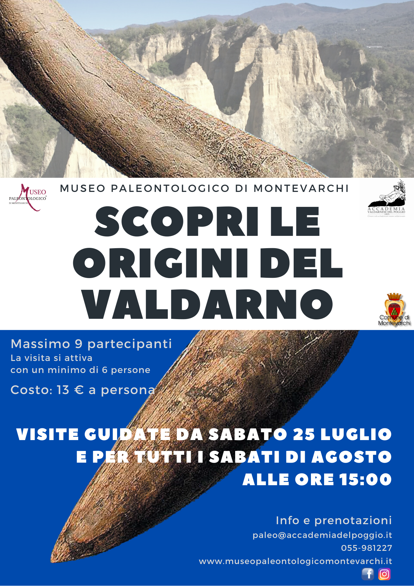 Museo Paleontologico di Montevarchi, “Scopri le origini del Valdarno” con le visite guidate