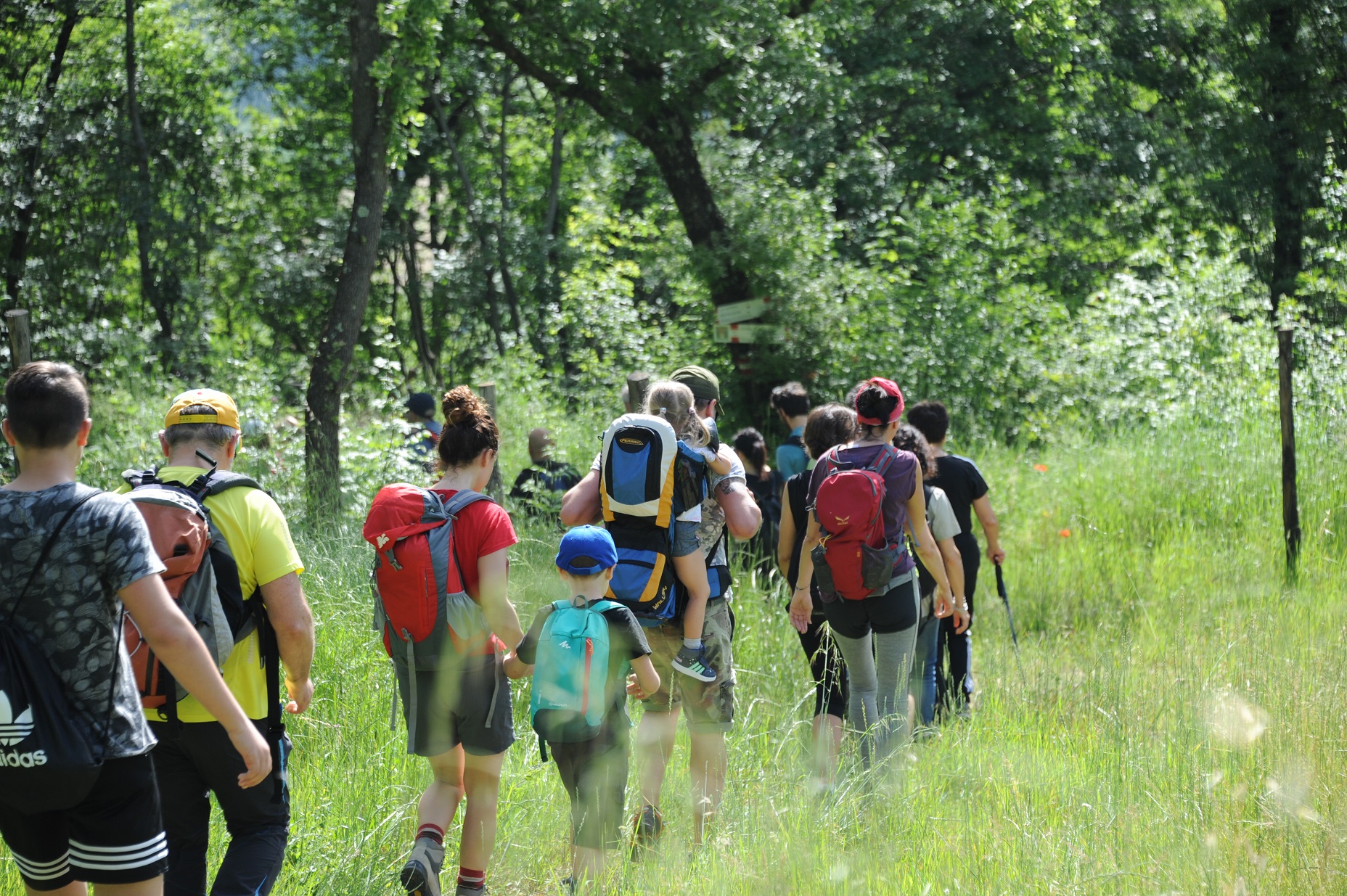 Bucine, sabato escursione alla scoperta di un nuovo sentiero in Valdambra