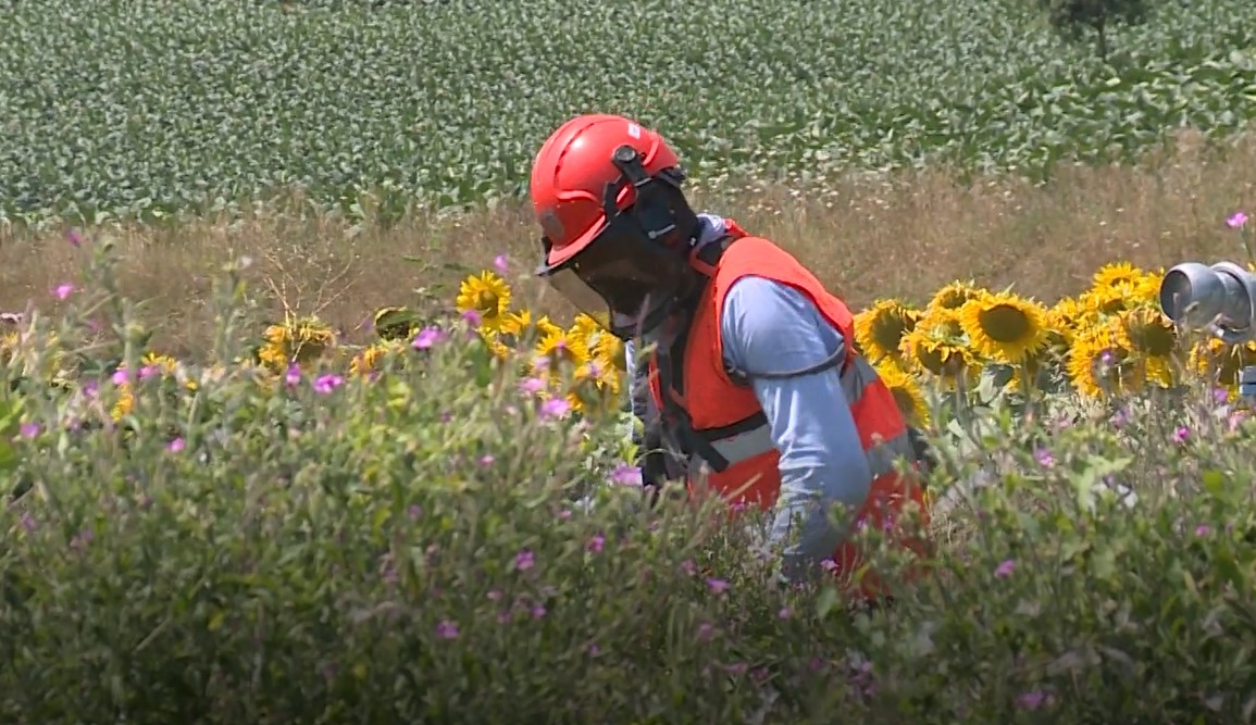 Anghiari: Consorzio, Comune e agricoltori alleati per la difesa del territorio