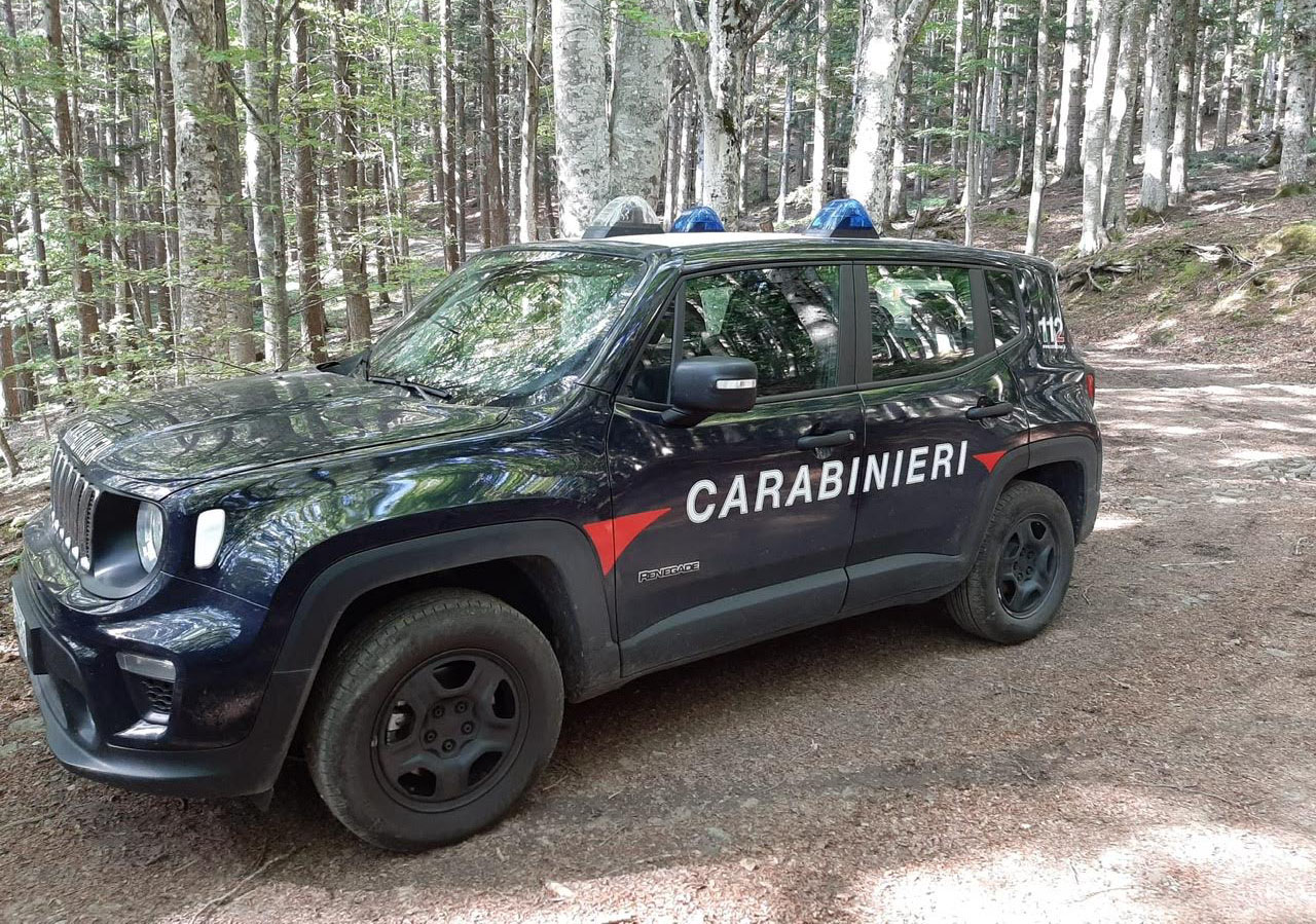 “Operazione Blofeld”: in valdichiana attivita’ antibracconaggio ed antitrappolaggio nelle colline aretine, scoperti e denunciati un uomo ed una donna