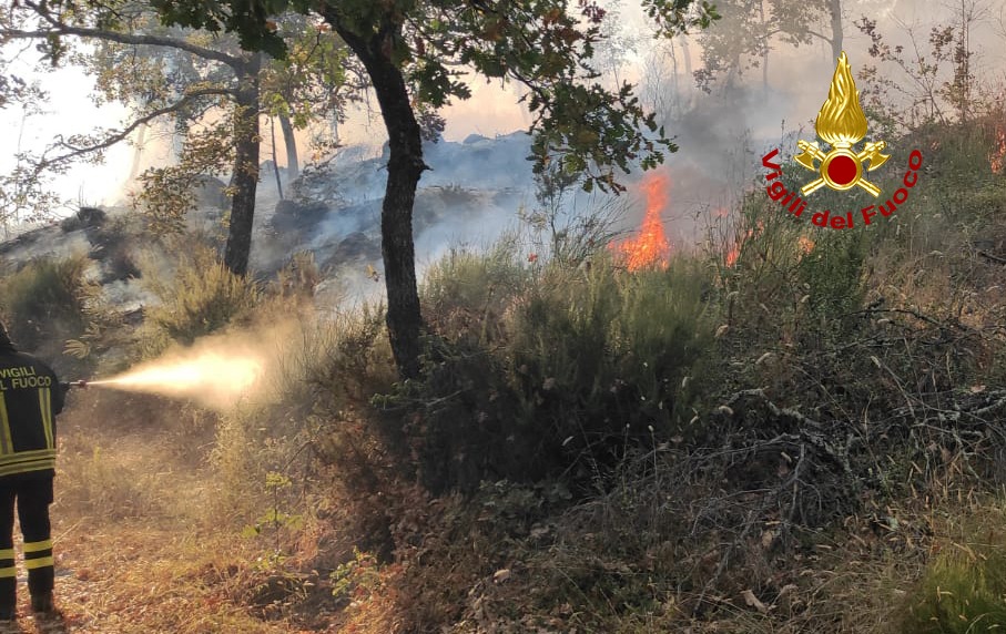 Molin Nuovo, vigili del fuoco in azione su incendio a vegetazione e bosco