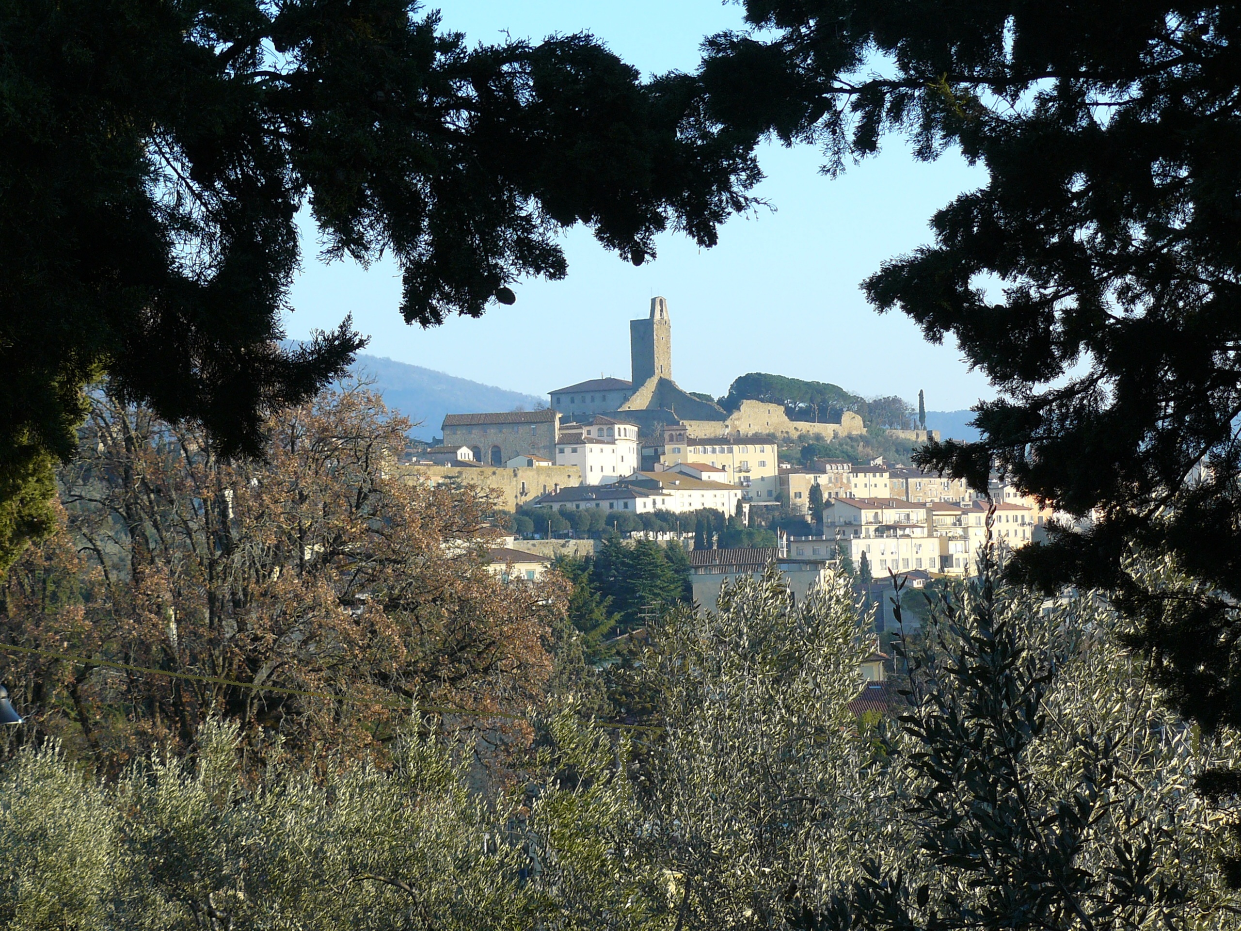 Castiglion Fiorentino: disposizioni per accedere ai servizi degli uffici comunali
