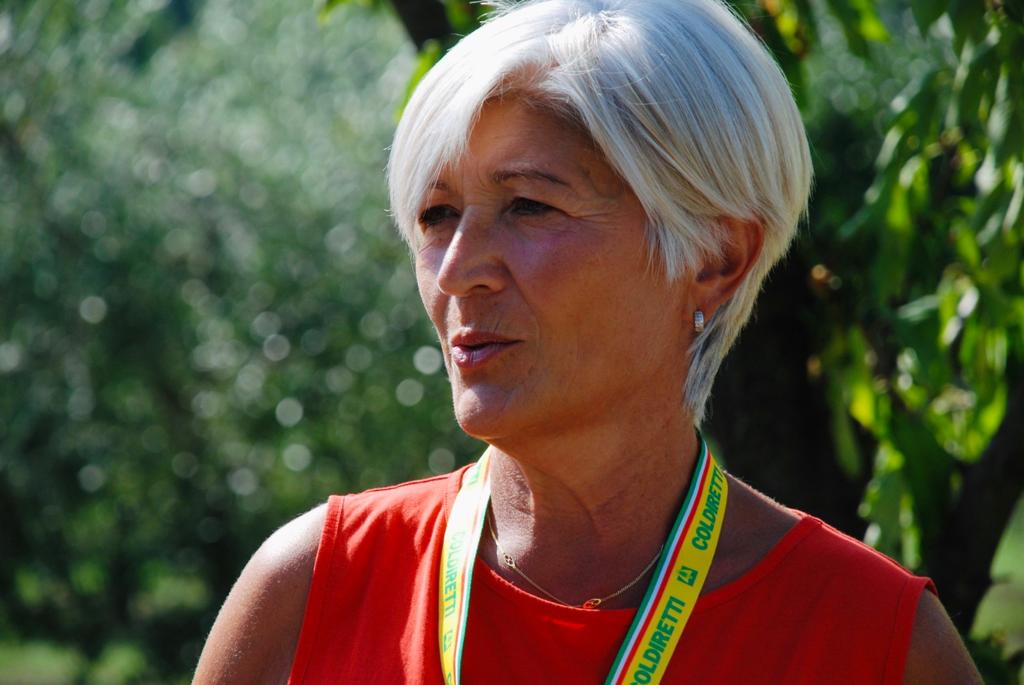 Campagna olearia Coldiretti: le indicazioni per una buona raccolta