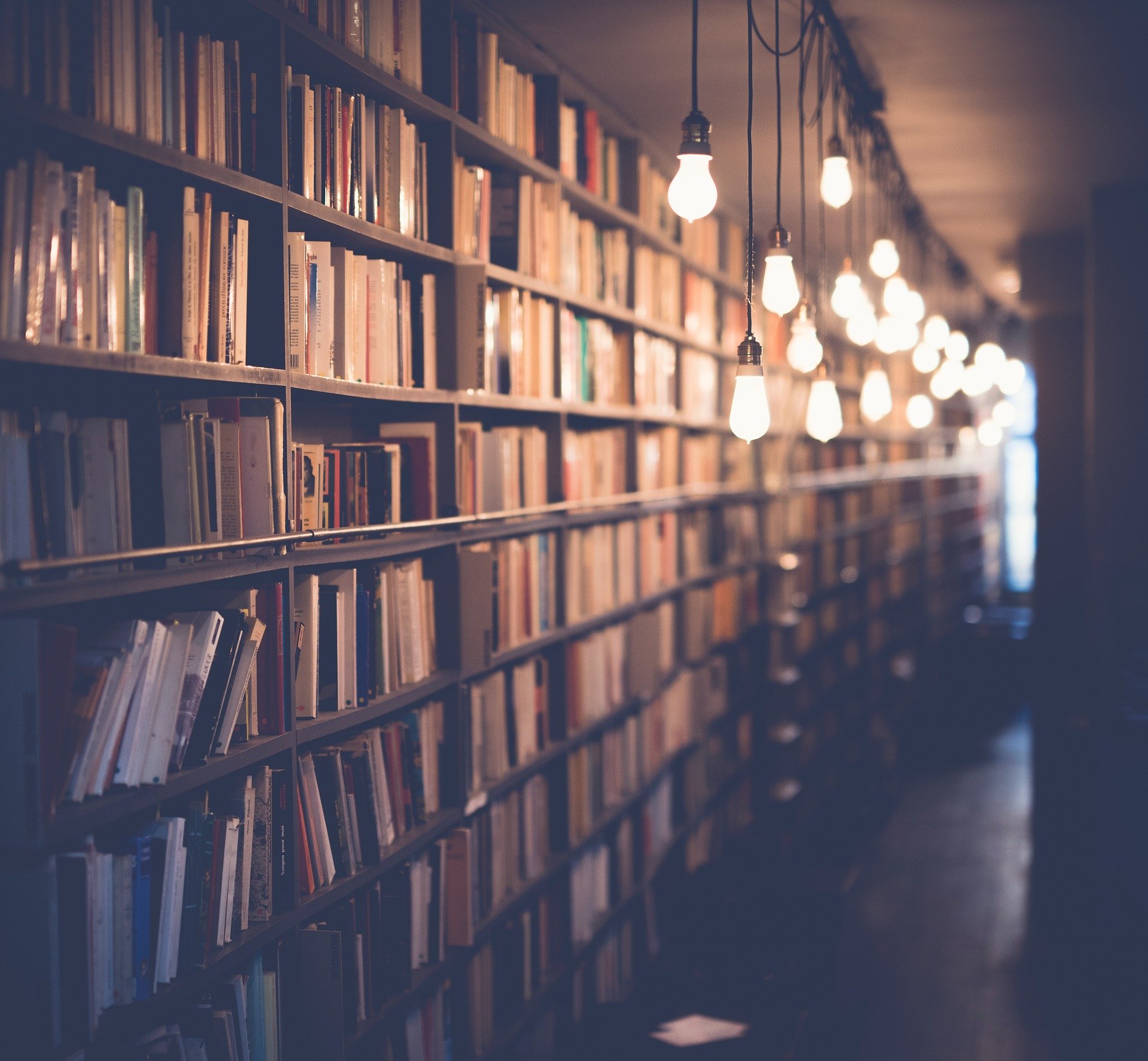 Nuovi orari della Biblioteca Comunale di Monte San Savino