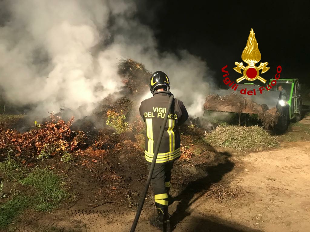 Prende fuoco un vivaio a Terranova, intervento dei Vigili del Fuoco nella notte