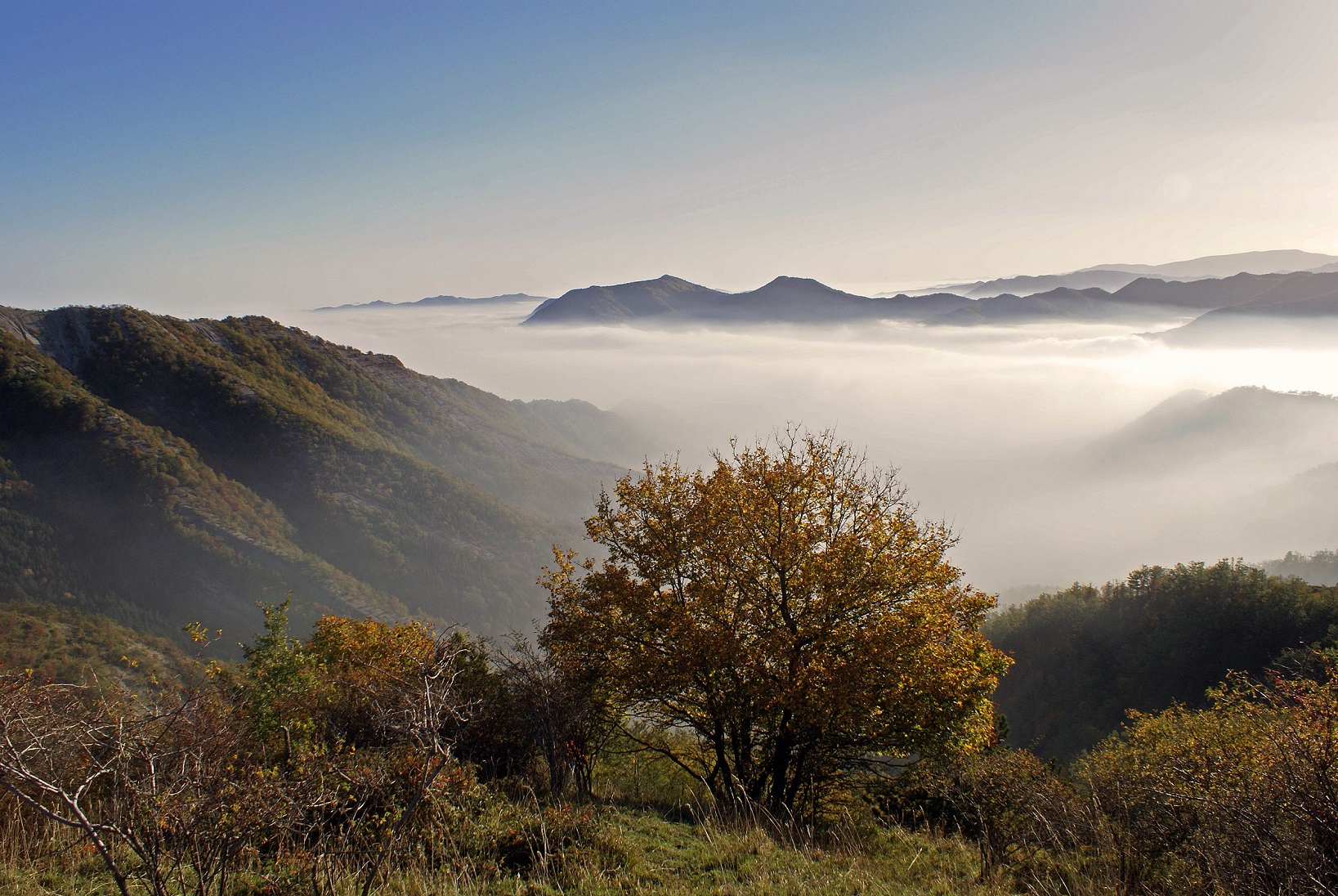 “Half earth day” nel parco nazionale delle Foreste casentinesi: almeno della metà del pianeta per la conservazione della natura