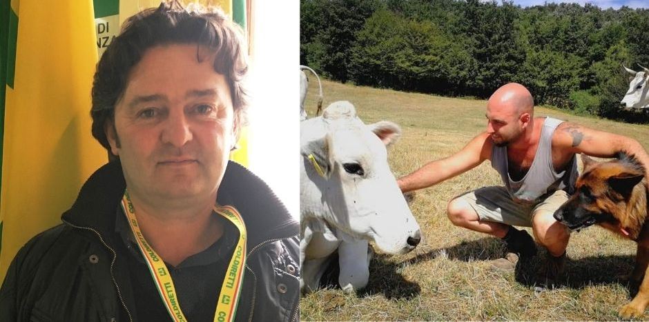 Via libera a carne finta. Coldiretti: “Questa non è una bistecca”