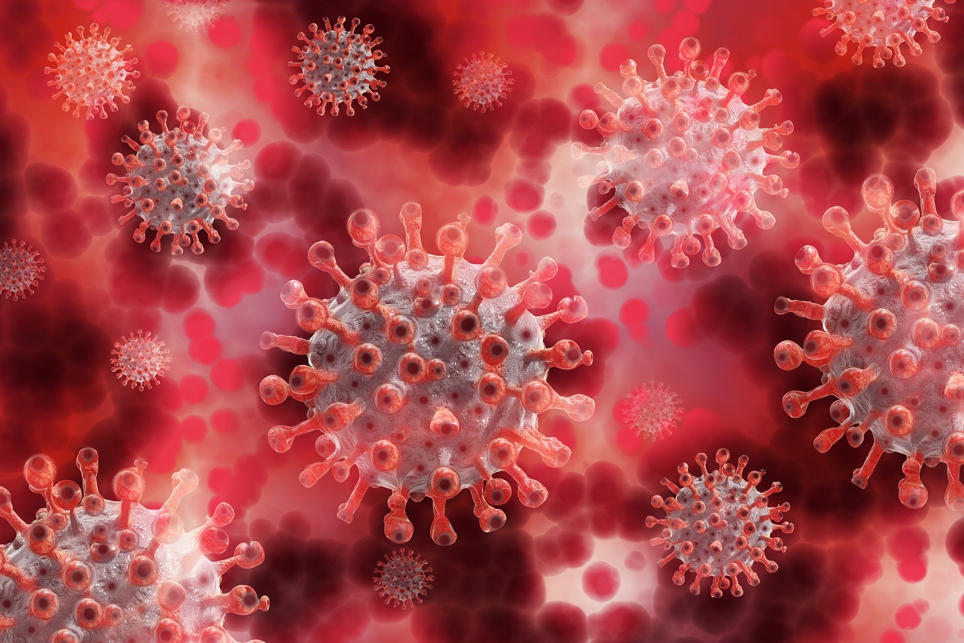 Coronavirus: in Toscana 636 nuovi casi, età media 45 anni. 63 decessi