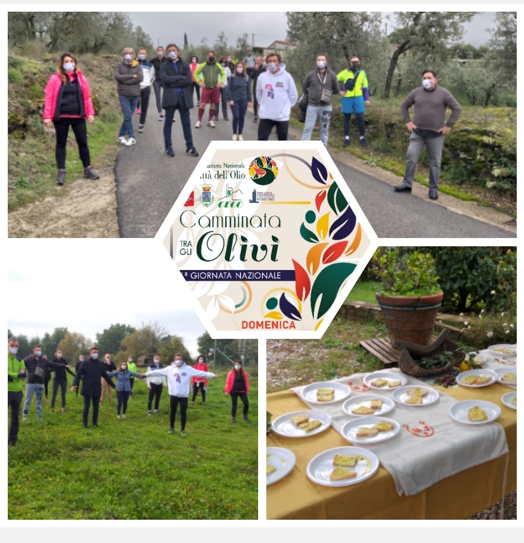 Castiglion Fiorentino non ha rinunciato alla “Camminata tra gli Olivi”. Nonostante la pandemia molte persone hanno partecipato all’iniziativa.