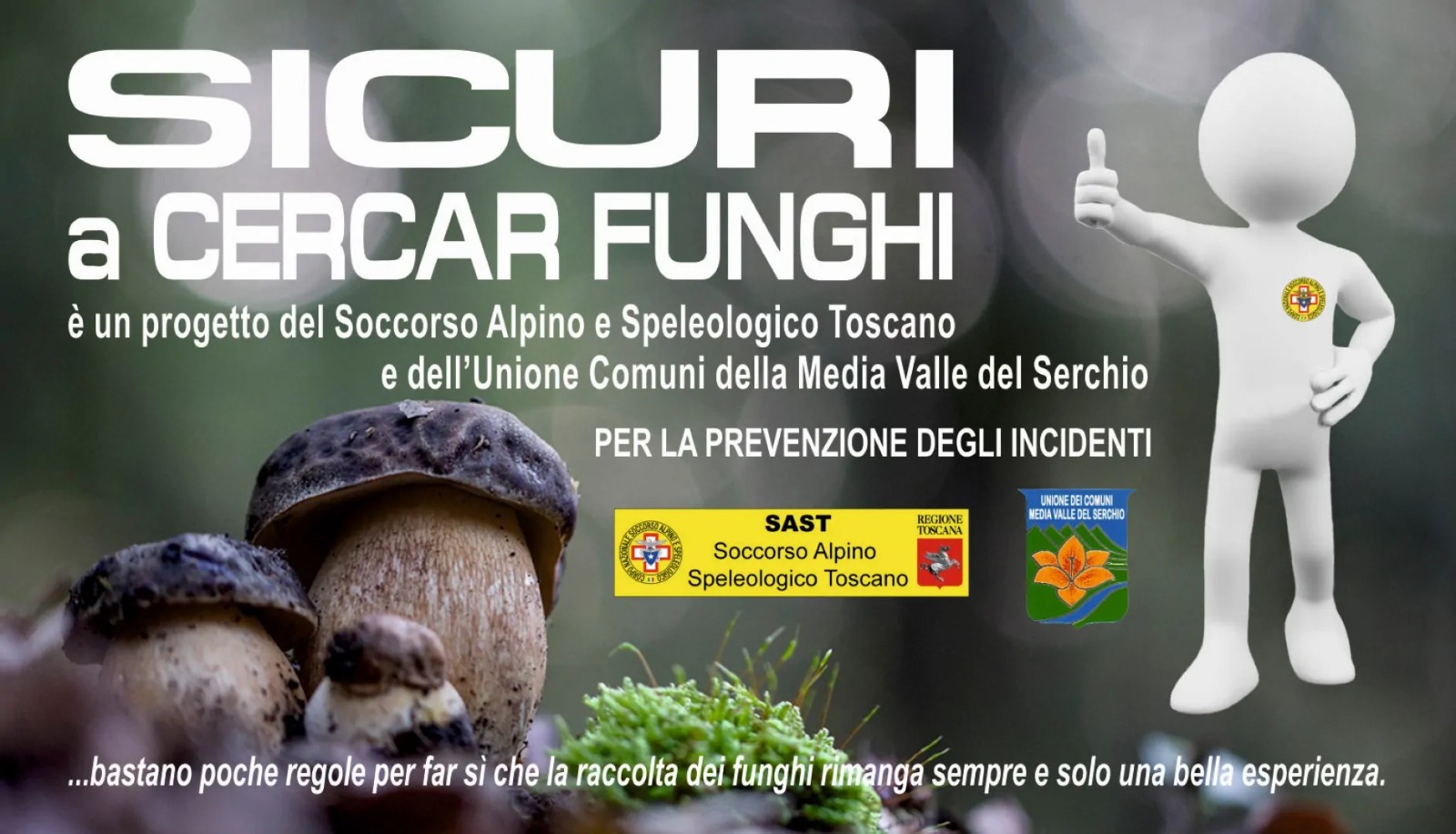 Sicuri a cercare i funghi? Ecco tutte le indicazioni