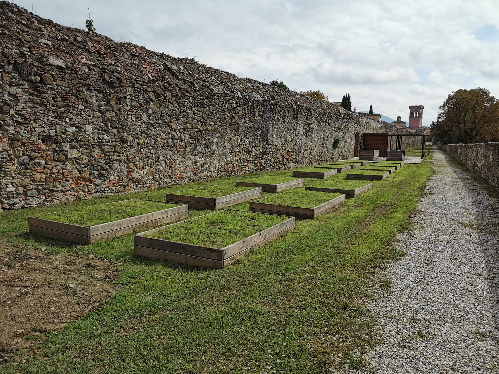 Fioriscono gli orti sociali, taglio del nastro