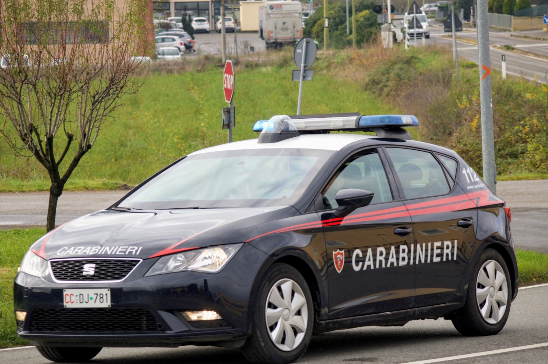 Ramo di un albero colpisce autovettura con il passeggero all’interno, fortunatamente senza conseguenze 