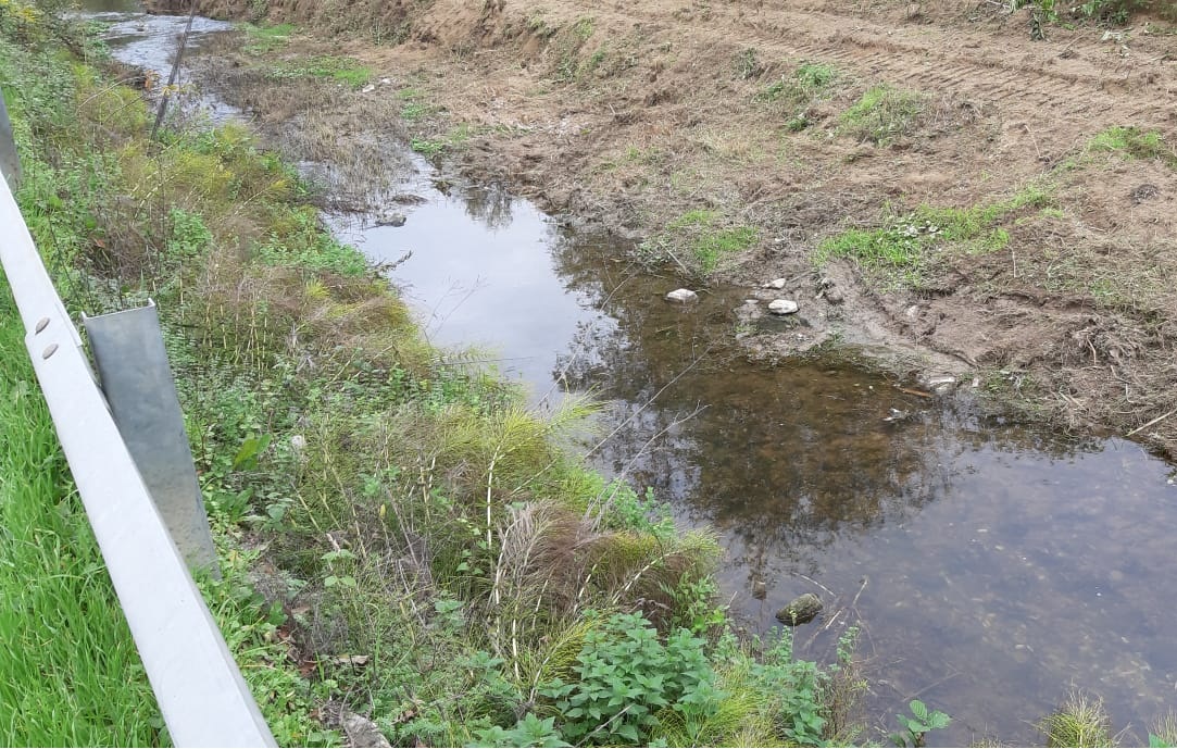 Montevarchi, lavori di manutenzione al torrente Caposelvi