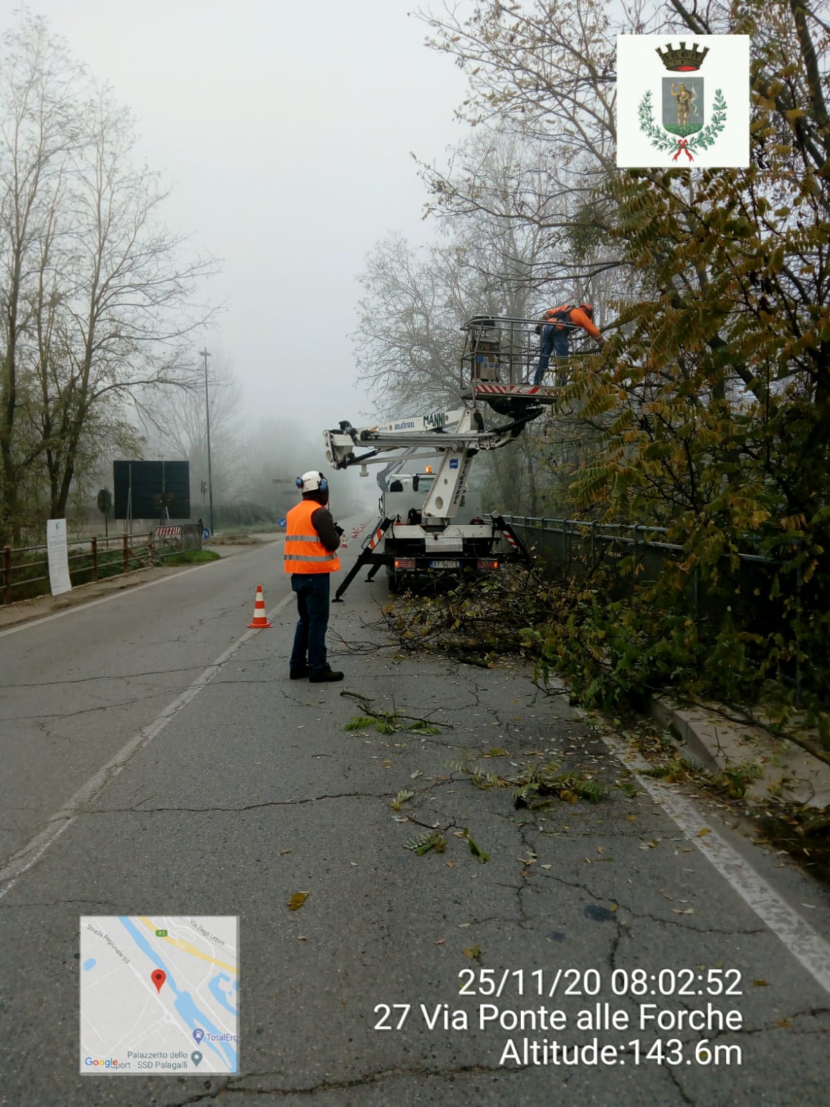 Pista ciclopedonale dell’Arno, iniziati i lavori di abbattimento di alberi lungo la Sr. 69