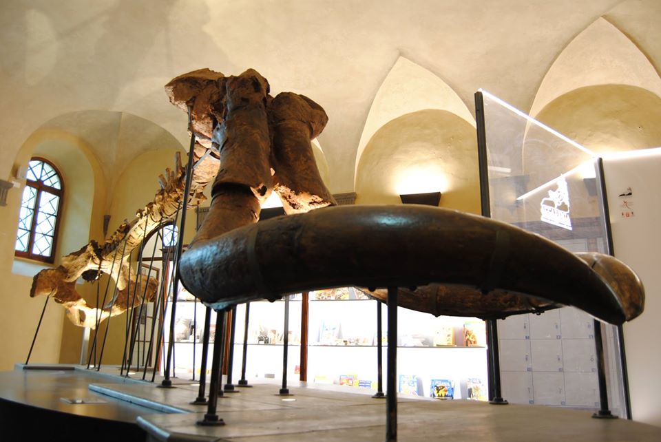 A Natale dona la cultura e inizia bene il 2021!