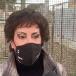 Giovanna Carlettini