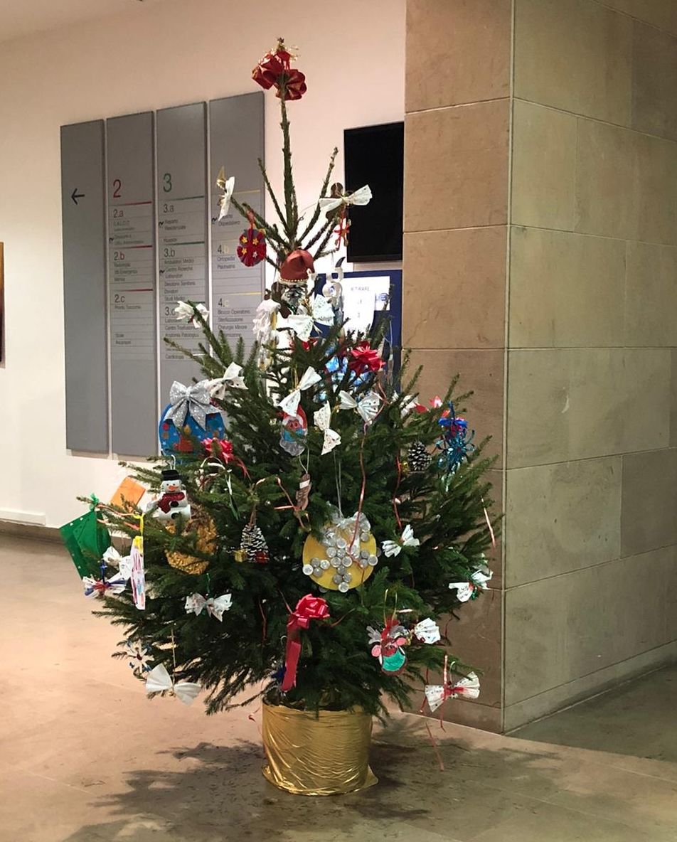 Ospedale di Valdarno: albero di Natale donato dalla Sindaca di Montevarchi