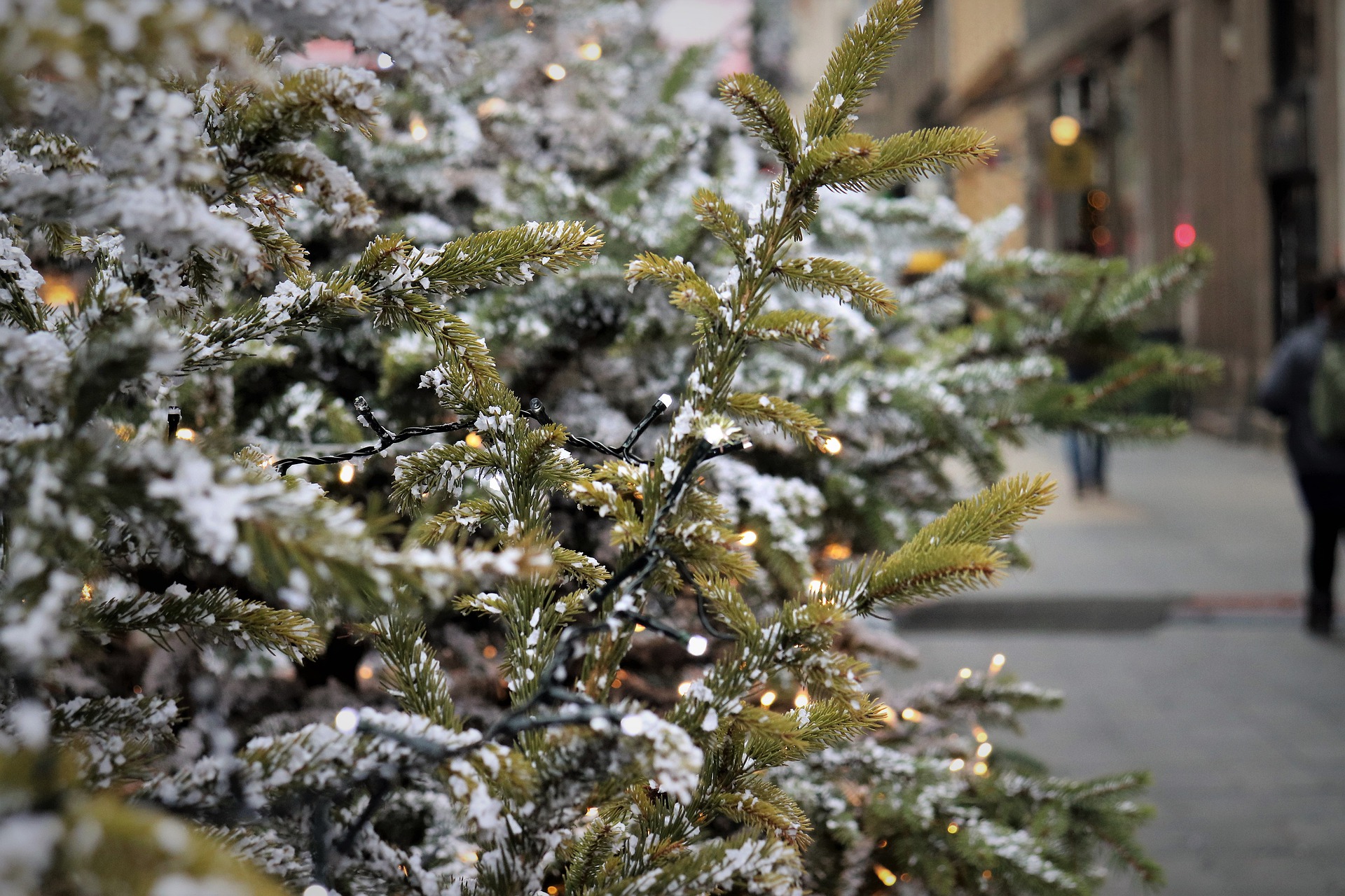 Nuovo Dpcm 3 Dicembre A Natale No Spostamenti Da Comuni Arezzoweb Informa