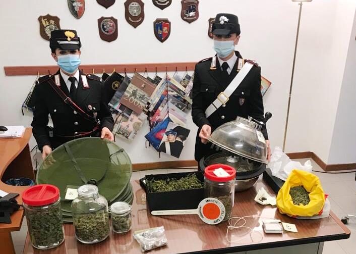 Aveva una serra in casa per produrre cannabis, arrestato 30enne