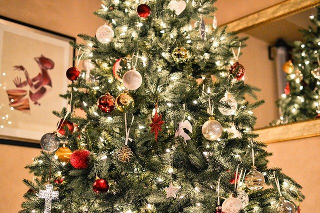 “Alberi di Natale nei borghi”a Pratovecchio: al via il concorso per l’albero più bello