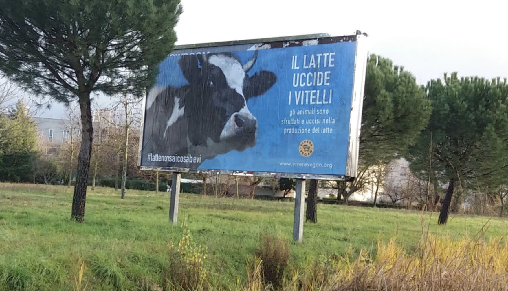 Arezzo: nuovo blitz di Progetto Vivere Vegan: questa volta il cartellone è su cosa comporta il consumo di latte