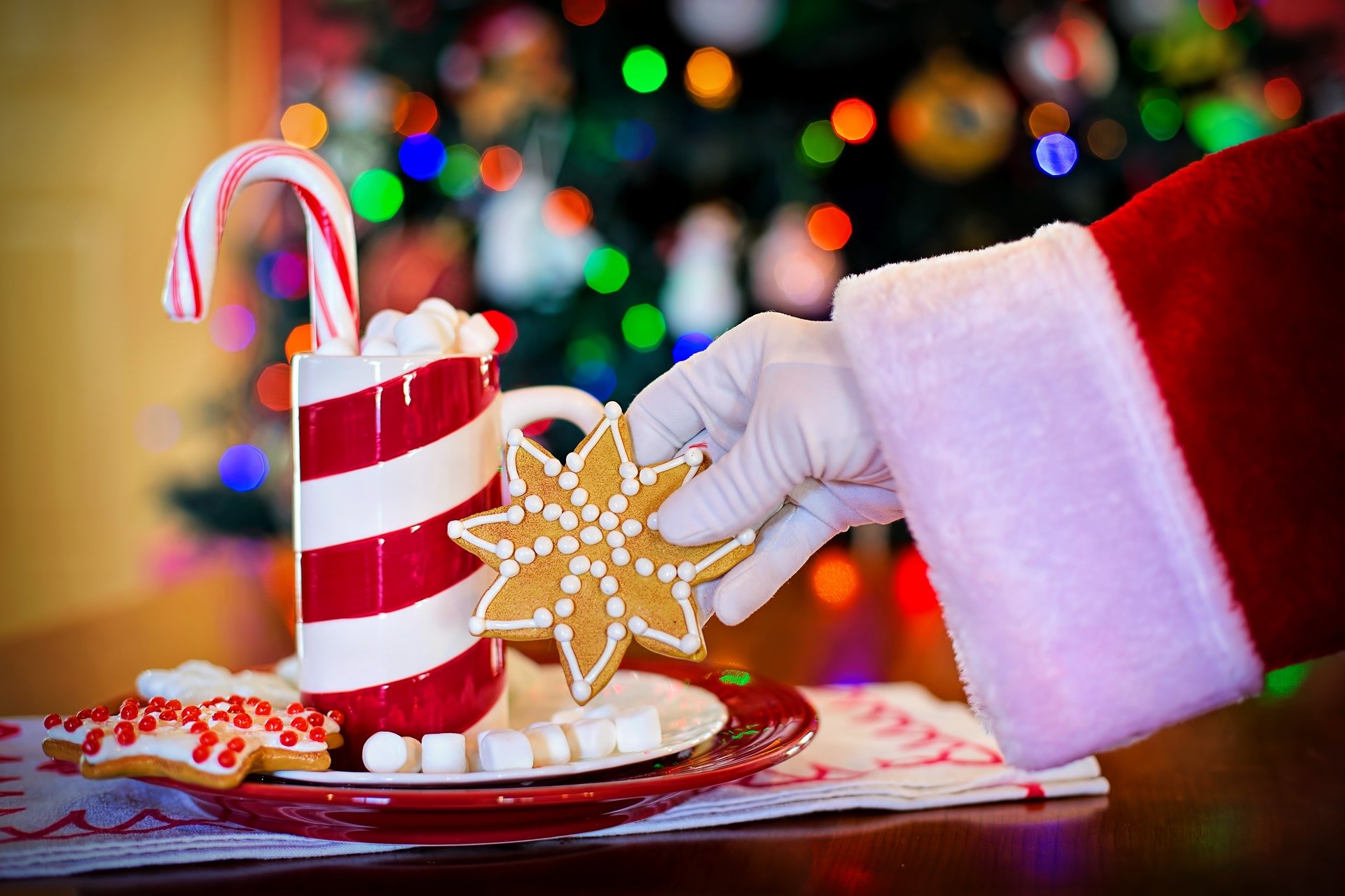“Accendi il Natale (e il sorriso) nel tuo negozio”, parte il contest fotografico
