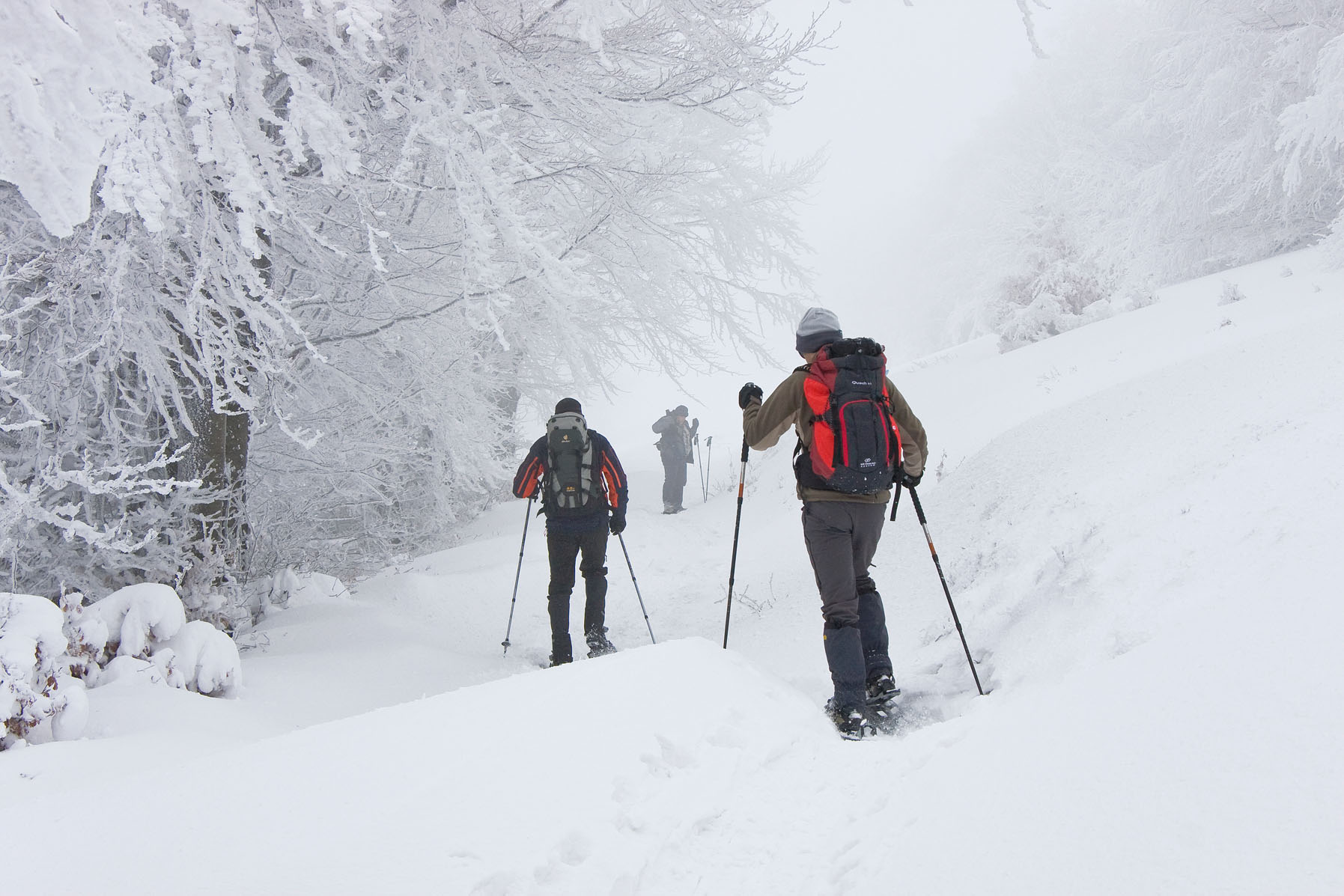 Parco nazionale Foreste casentinesi, ancora investimenti sulla sostenibilità da spendere sul territorio protetto