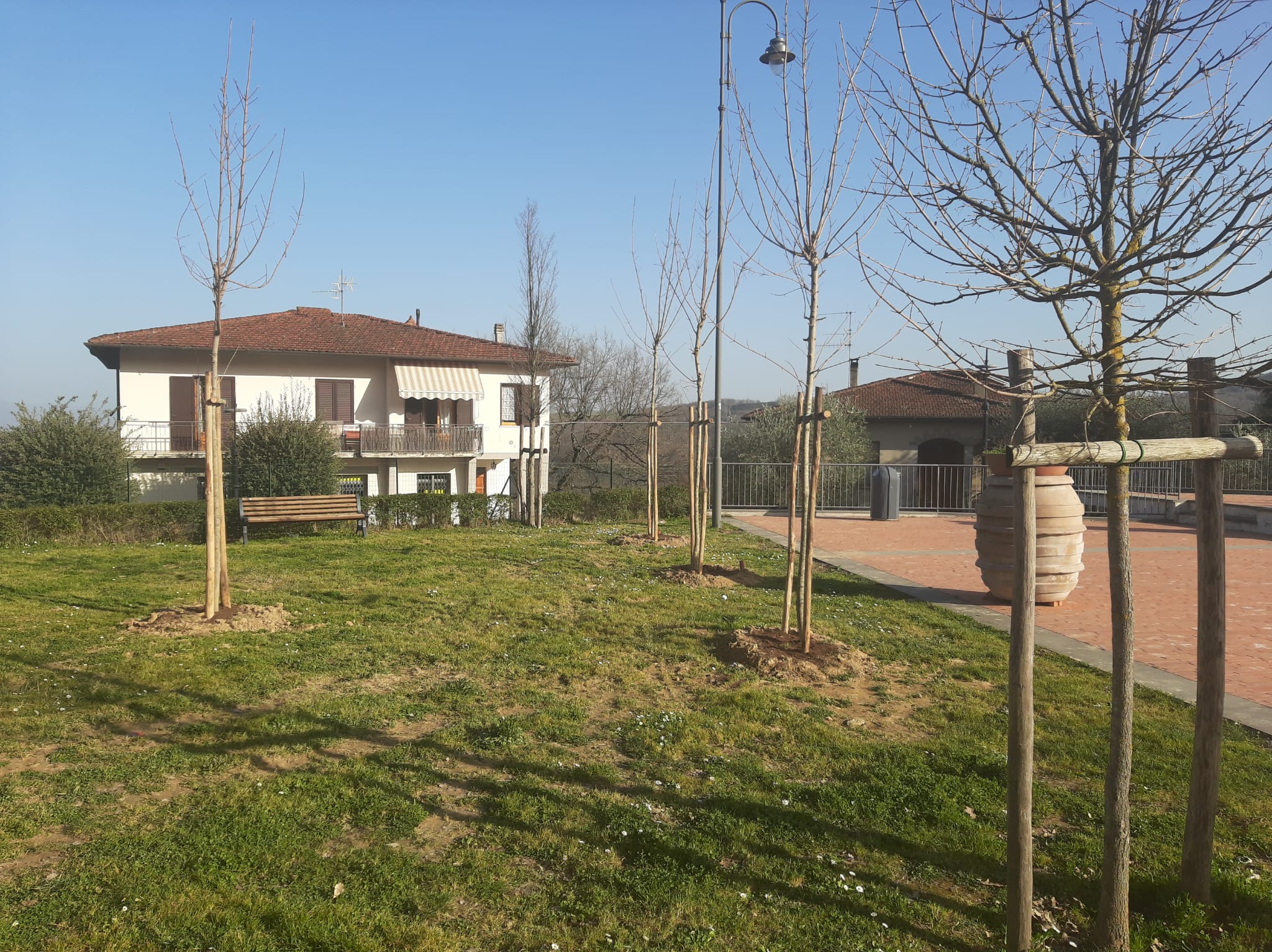“E’ ora di piantarla! un albero per la vita” un grande successo a Cavriglia