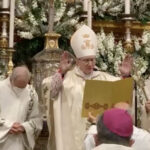 Madonna del conforto – Pietro Parolin