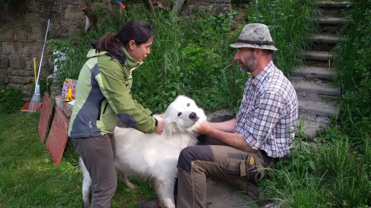 Il progetto “Volontariattivi” nel parco nazionale delle Foreste casentinesi, ancora un’esperienza per tutti in una natura straordinaria