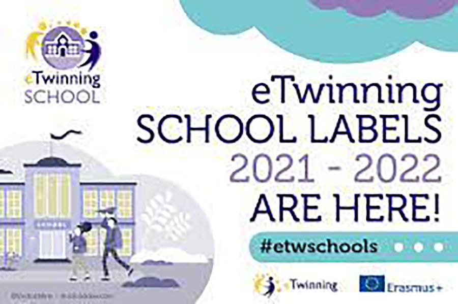 Unico Liceo della provincia di Arezzo, il vittoria colonna ottiene il certificato di scuola etwinning 2021-2022