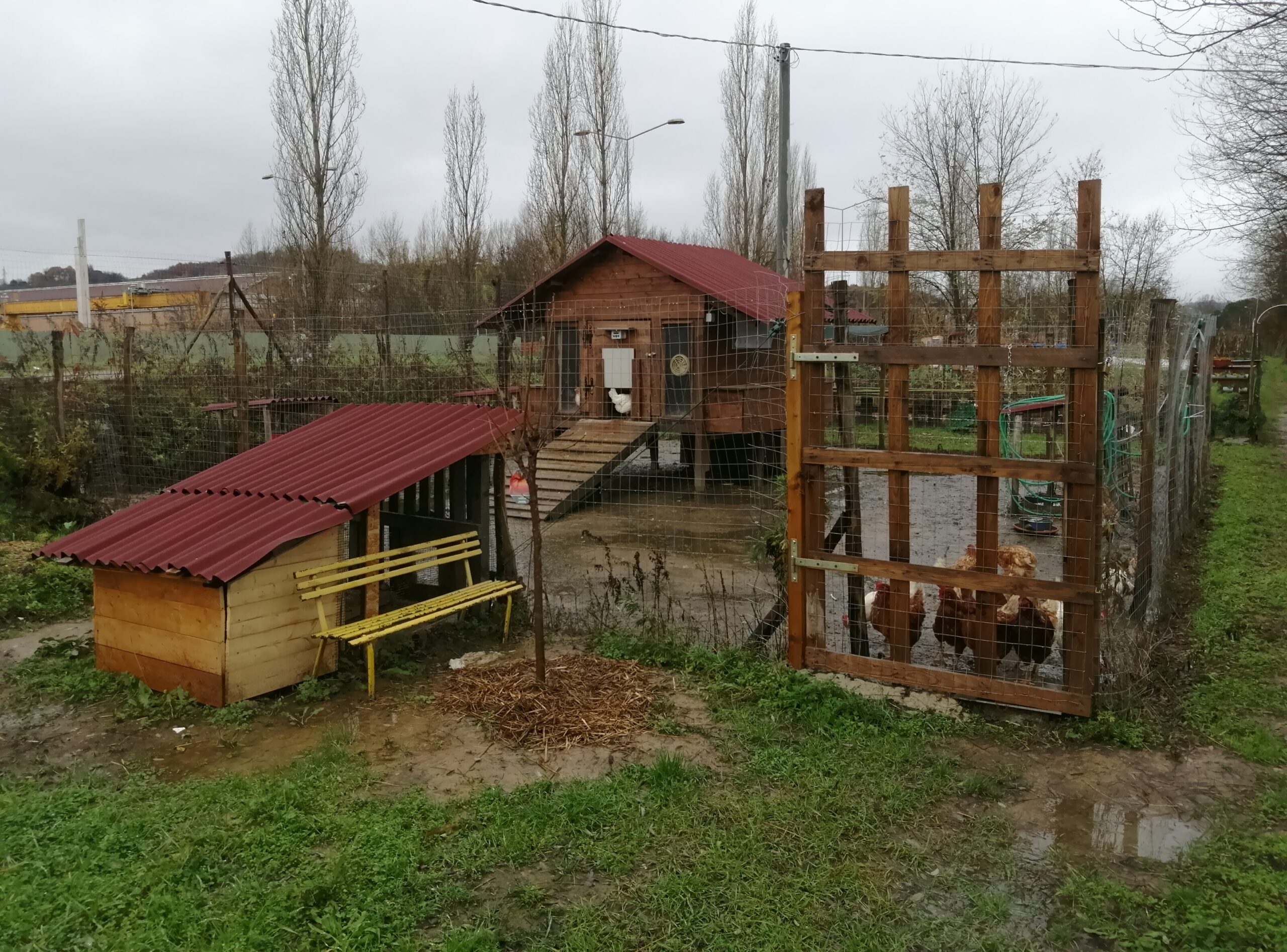 La Regione Toscana premia gli orti sociali di San Giovanni Valdarno