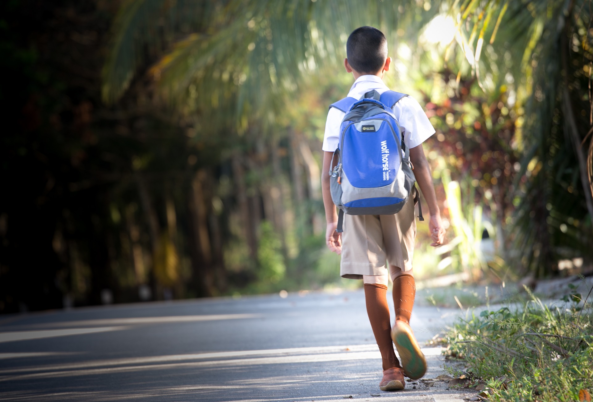 Pacchetto scuola, Nardini: “Finanziato anche per il prossimo anno scolastico”
