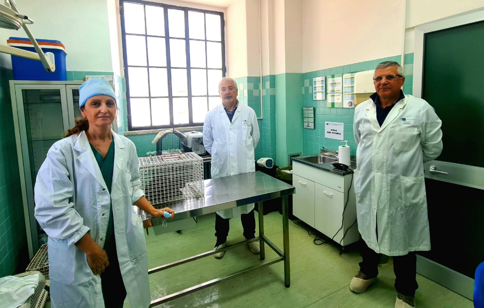 Il bilancio delle attività del Servizio Veterinario della Asl Toscana sud est per il controllo del randagismo