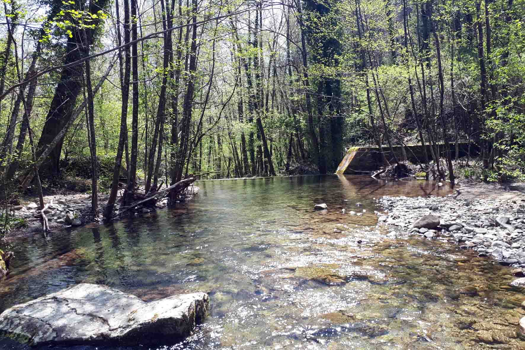Una rubrica digitale per presentare le più belle camminate di Raggiolo