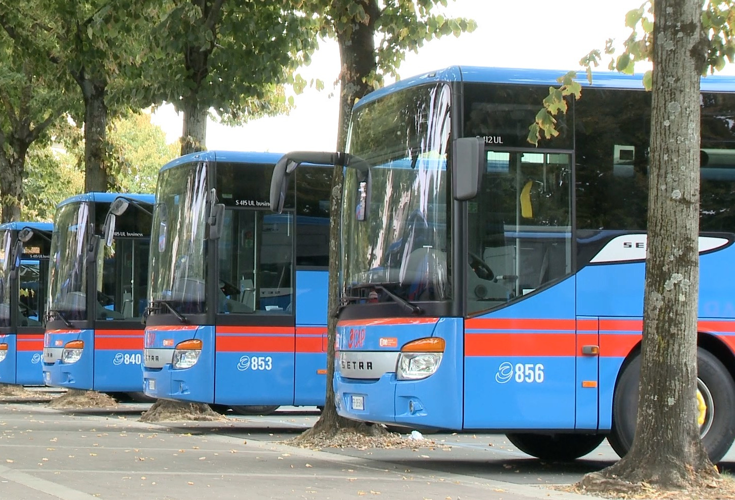 Denuncia AT per bus danneggiato e interruzione di pubblico servizio  