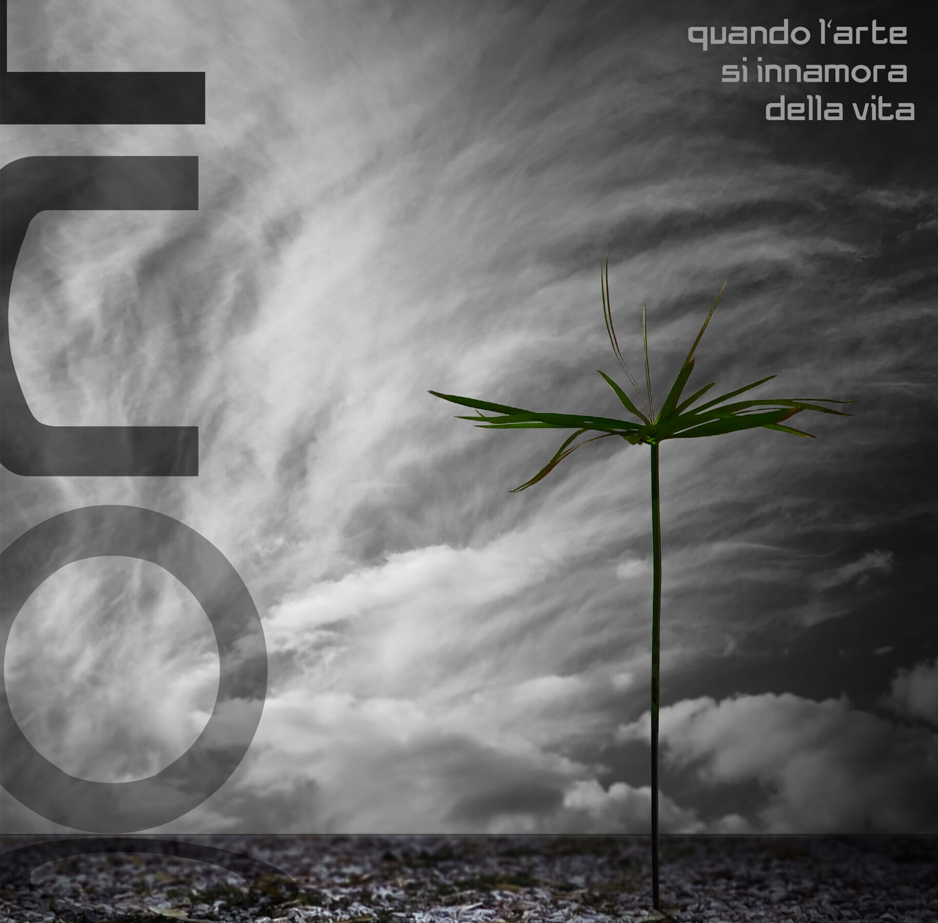 Ecco la mostra fotografica “ECO – quando l’arte si innamora della vita”