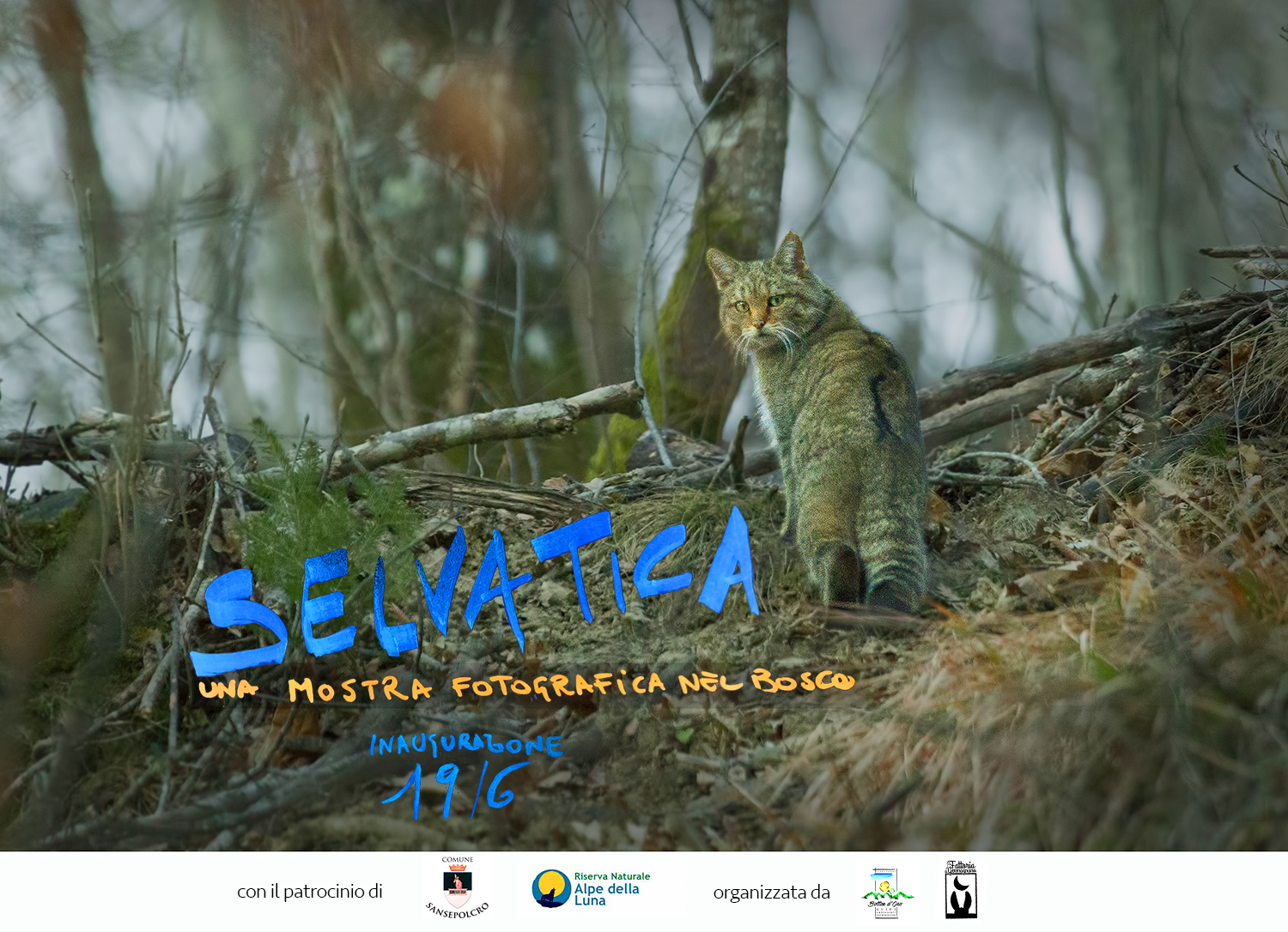“Selvatica”, una mostra fotografica nel bosco