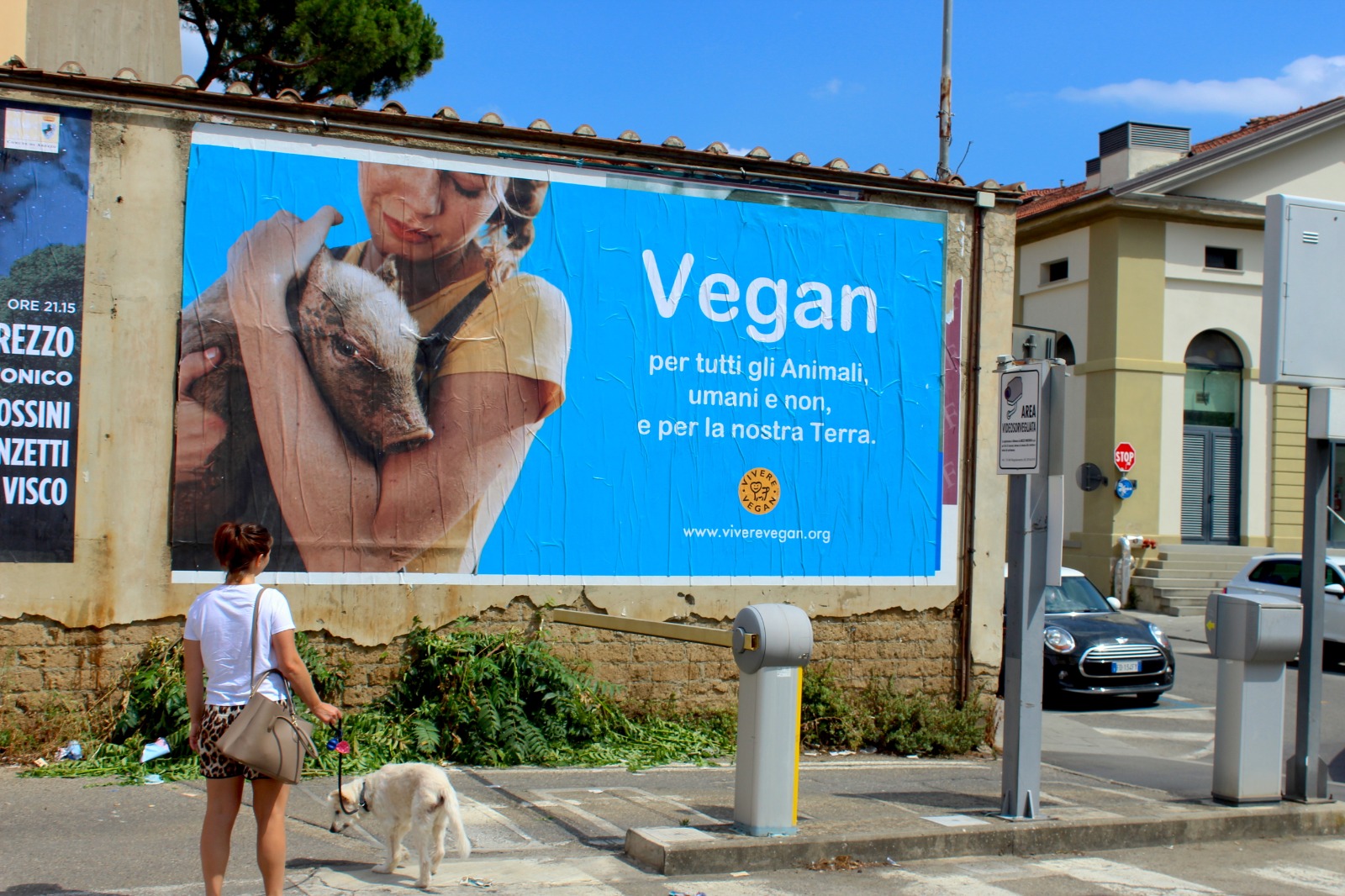 Arezzo: nuovo manifesto vegan in città