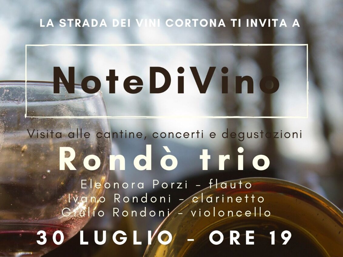 Rondò Trio, musica classica e degustazione vini direttamente in vigna