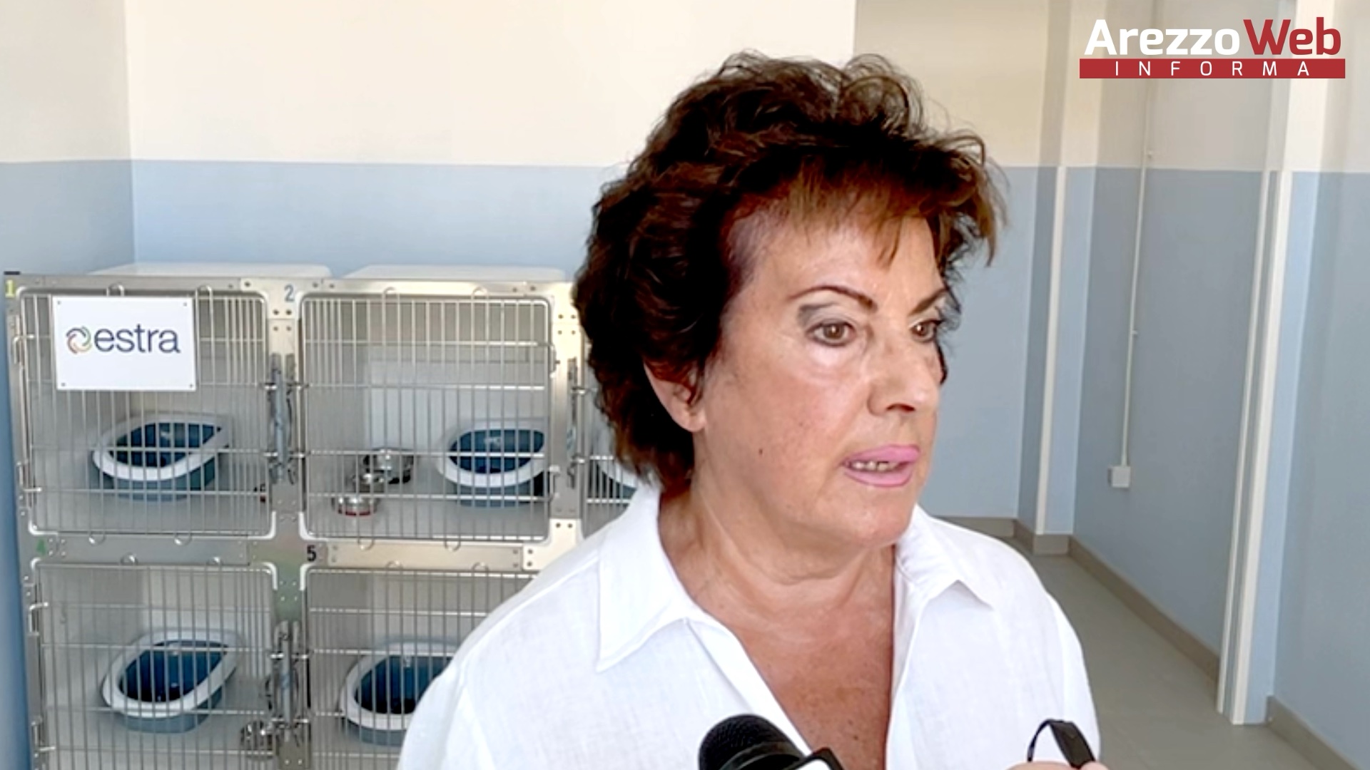 Cane ucciso da un altro di taglia maggiore: la condanna e l’appello dell’assessore Giovanna Carlettini