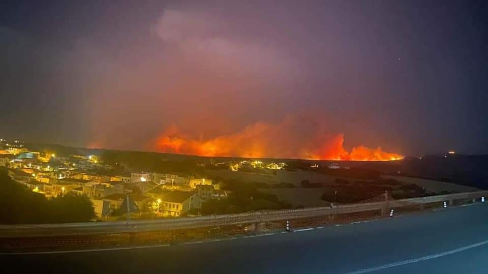Sardegna in fiamme, boschi distrutti e animali morti. Coldiretti: “60% incendi causati volontariamente”