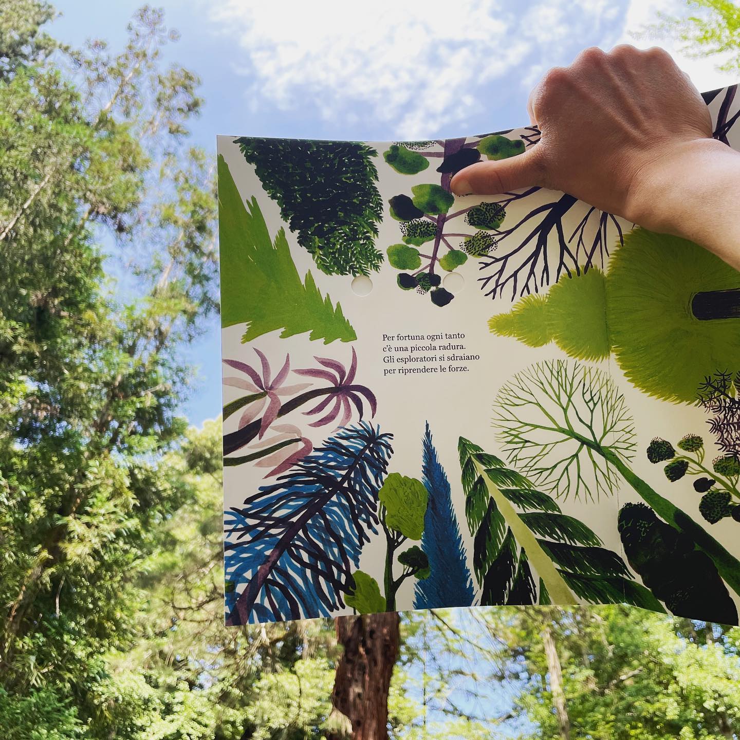 Il libro cult “La foresta” prende nuova vita dentro un parco botanico secolare
