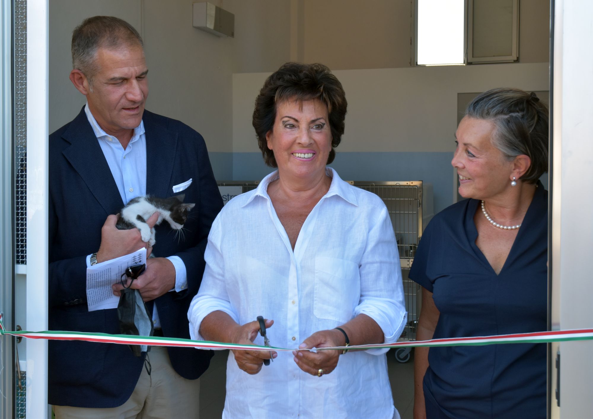 Stanza di degenza per i gatti: un luogo sicuro dove ospitare i felini prima e dopo la sterilizzazione