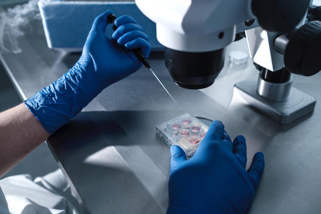La PMA (procreazione medicalmente assistita) della USL TSE cresce e diventa modello nazionale