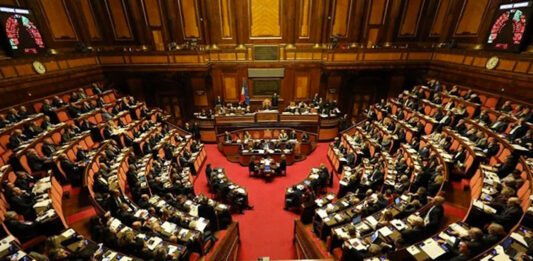Senato - FOTO Agenzia DIRE - www.dire.it