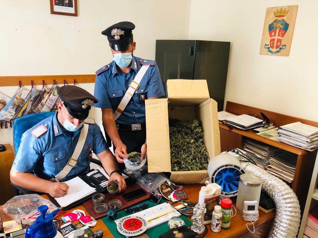 Rinvenuta una serra per la coltivazione di canapa: sequestrati oltre 400 grammi di marijuana